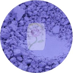 Ultramarine African Violet