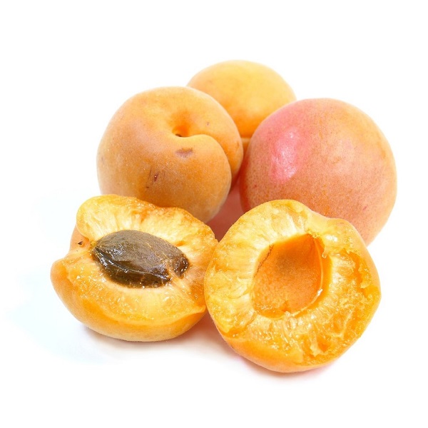 Apricot Kernel (Prunus armenica)
