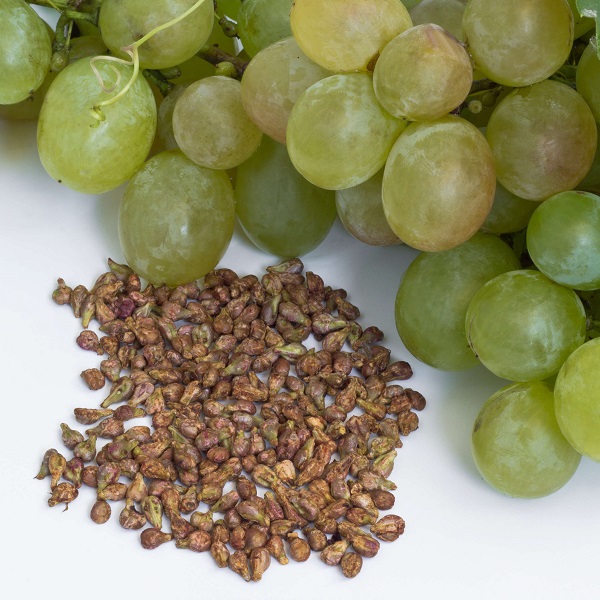 Grapeseed (Vitis vinifera)