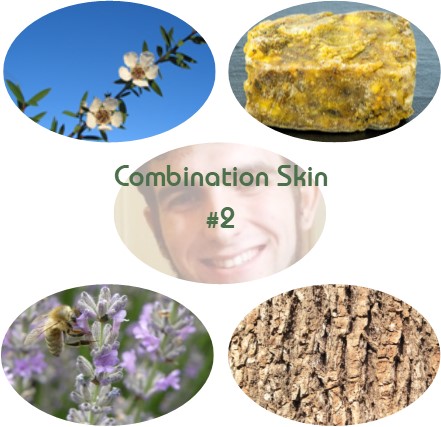 Combination Skin Blend #2 - Click Image to Close