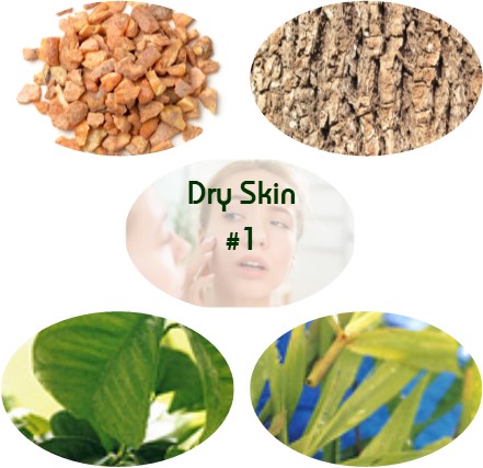 Dry Skin Blend #1 - Click Image to Close