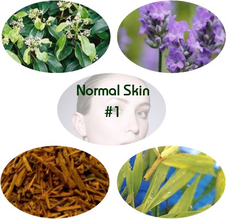 Normal Skin Blend #1 - Click Image to Close