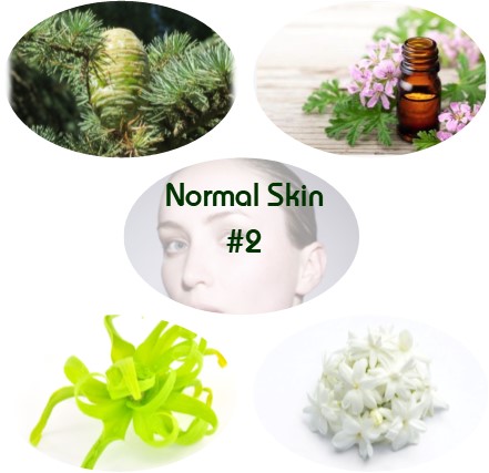 Normal Skin Blend #2 - Click Image to Close