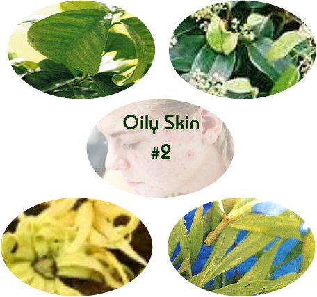 Oily Skin Blend #2 - Click Image to Close