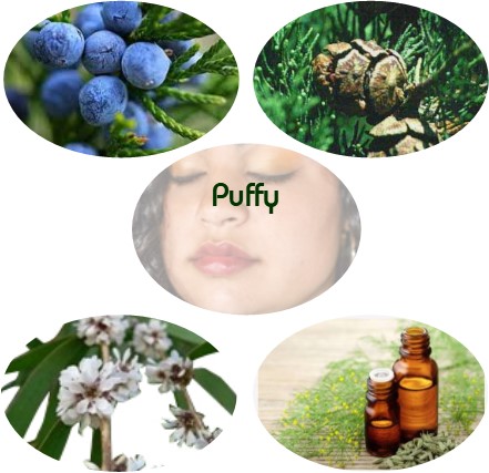 Puffy Skin Blend - Click Image to Close