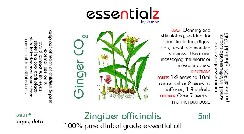 Ginger CO2 Essential Oil Zingiber officinalis