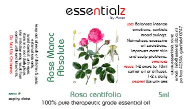 Rose Maroc Absolute Rosa centifolia