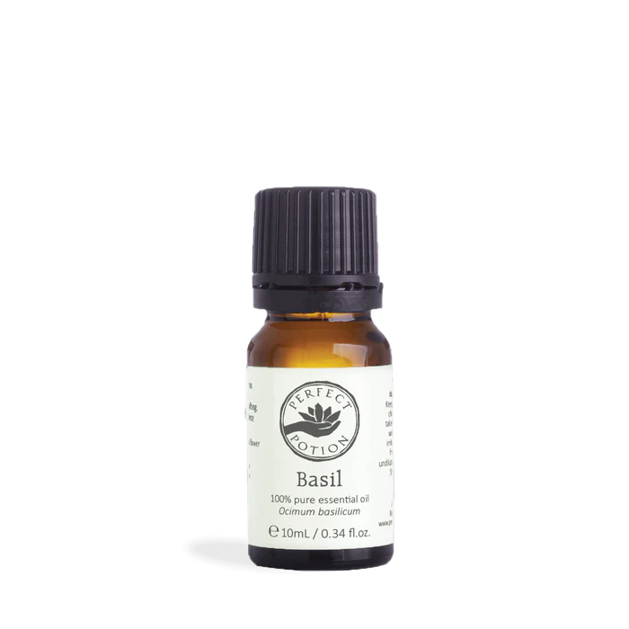 PP Basil Ocimum basilicum 10ml