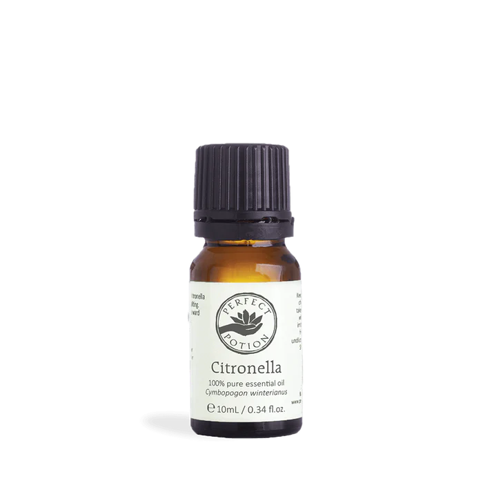 PP Citronella Cymbopogon nardus 10ml