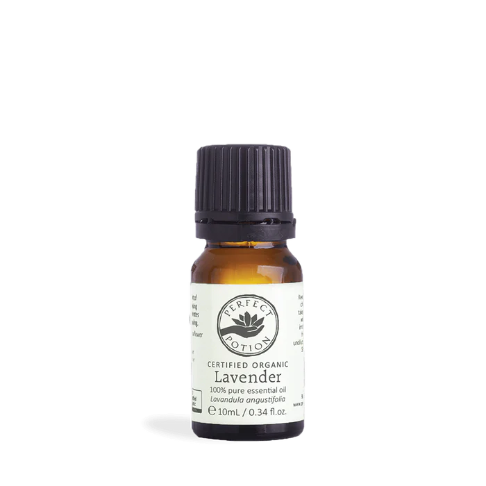 PP Lavender Lavandula angustifolia 10ml - Organic