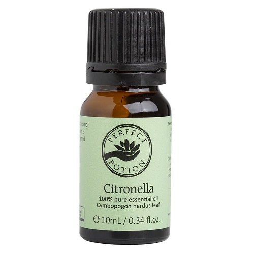 Citronella Cymbopogon nardus 10ml - Organic